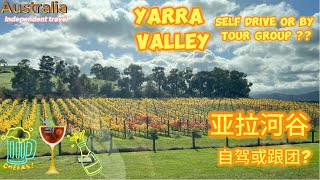 Australia Part3: Yarra Valley, self-drive or group tour. 澳大利亚 第3部：亚拉河谷，自驾或跟团游