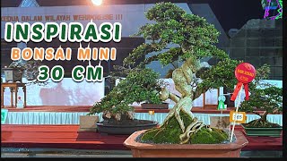 DERETAN BONSAI MINI 30 CM | INSPIRASI BONSAI MAME SMALL 30 CM