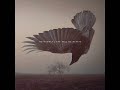 KATATONIA - Sanction