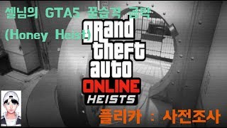 셀님의 GTA5 : 꿀 습격(Honey Heist) 공략! [플리카 : 사전조사]