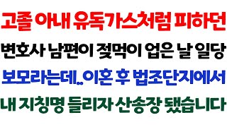 [반전 실화사연] 고졸 아내 유독가스처럼 피하던 변호사 남편이 젖먹이 업은 날 일당 보모라는데 이혼 후 법조단지에서 내 지칭명 들리자 산송장 됐습니다/신청사연/사연낭독/라디오드라마