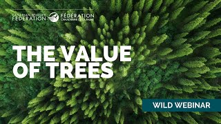 CWF Wild Webinar: The Value of Trees