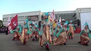 百花繚乱さん　２０１３　フェスティビタスナタリス