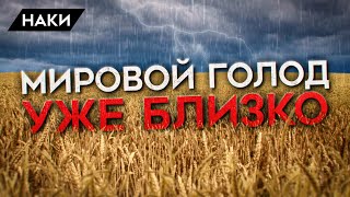 Крупнейший продовольственный кризис. Голод из-за войны и шантажа Путина