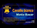 cavallo bianco matia bazar cover by the moneys