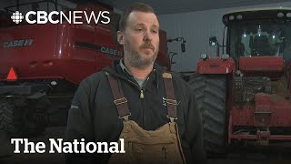 Anxious Canadian farmers brace for U.S. tariffs