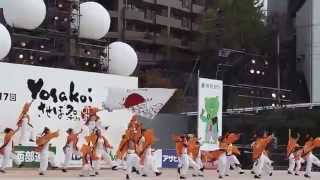 yosakoiはーとらんど 2014　名切お祭広場