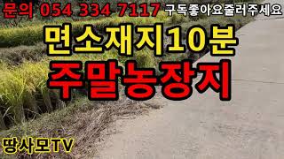 (NO.28) 영천땅 영천부동산, 면소재지 10분거리 주말농장지 2600만원                   땅사모TV