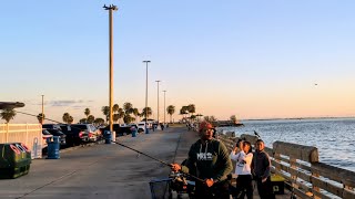 Seawolf Park Fishing! 4K