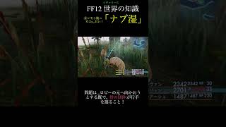 【FF12TZA】④人形モブは死都が好き？「ナブレウス湿原」【 いろいろ解説】(月曜〜土曜で投稿予定！)#ff #ff12 #弱くてニューゲーム