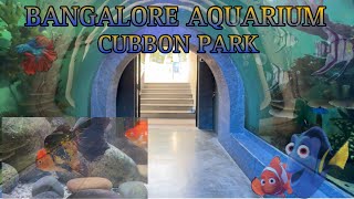 Exploring Bangalore | Aquarium near cubbon park | Namma Bangalore Aquarium | #aquarium