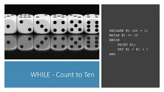 Stored Procedure Programming Concepts - While Loops | Essential SQL