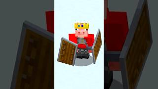 Minecraft Shield FACTS