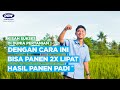 ! PAKAI PUPUK INI PANEN 2X LIPAT ! : TATA CARA BUDIDAYA PADI - DGW FERTILIZER