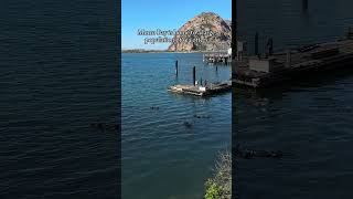 Fun Facts About Morro Bay Ca