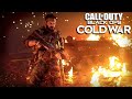 Call of Duty: Black Ops Cold War Stealth Kills (Echoes of a Cold War) Realism/No Damage