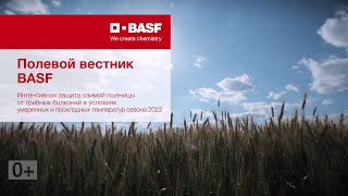 Полевой вестник BASF. Опыт применения РЕКС® ПЛЮС и ЦЕРИАКС® ПЛЮС на озимой пшенице