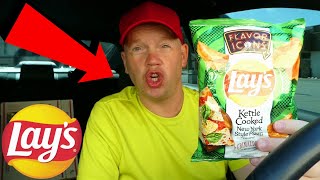 Lay's Kettle Cooked New York Style Pizza (Reed Reviews)