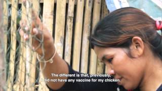 Climate Resilient Farmer Documentary in Kampong Cham