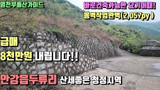 안강읍 옹벽작업끝낸 귀촌귀농최고 대지딸린토지(2,057py)8천만가격 대폭인하!! 2억6,000만[매물번호392]/영천부동산가이드/영천부동산