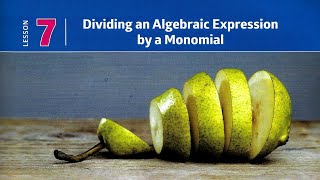 Prep1\ Math - 1st term\ Unit 2.7\ Dividing an algebraic expression by a monomial.