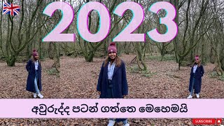 2023 අවුරුද්දේ ආරම්භය | Pilot අයියා එක්ක කතා බහ | New year vlog | UK