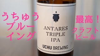 【クラフトビール】うちゅうブルーイング 宇宙ビール/コストコ巨大ピザ