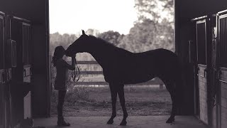 Thinking about colic as a horse owner – Cornell Vet Equine Seminar Series, December 2019