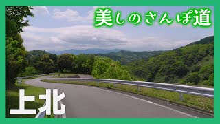 臼杵市の街並み・風景を4Kカメラで撮影【美しのさんぽ道＃2-2 上北篇】（2023.05.03放送）