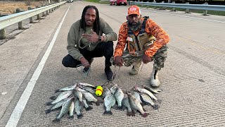 Catching “Quality over Quantity” Crappie on Visible Structure on Richland Chambers