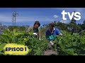 EPISOD 1 | KEDIAMAN AGRO | TVS ENTERTAINMENT