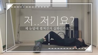 저,,,저기요? (폼롤러를 이용한 운동)