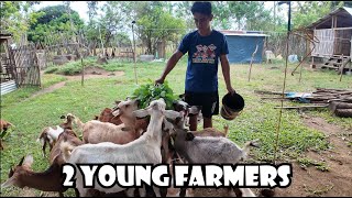 2 Young Farmer na may 30 Heads Goat Backyard Farm | Pano Sila Mag alaga ng Kambing?