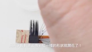 【六月劉老師Luxeylash頻道】彩虹開花法Rainbow Fanning