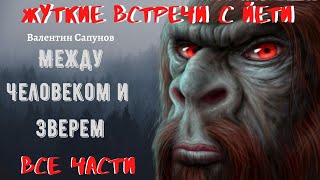 Жуткие встречи с Йети:\