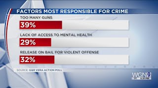 Poll: Chicagoans support polices to address the root causes of crime