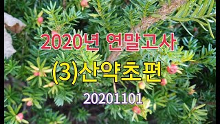 #2020년 연말고사 (3)산약초편 -정답은 늦은 10시에 내용란과 댓글란에 고정으로 올려 놓겠습니다-고생들 많으셨습니다.❤(19번 문제는 출제범위에 들지 않아 무효처리 합니다)