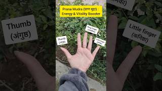 Boost Your Energy with Prana Mudra | Easy Yoga Tips #mudra #pranamudra  #anjaliyogafusion  #flute