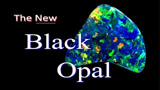 NEW Black Opal -- How Does It Compare?