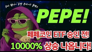 [ 페페코인 ] 긴급속보 페페 ETF 소식 밈코인들 ETF 승인전 빠르게 사셔야 합니다!  정확한 타점 보세요! #페페코인 #페페코인이슈