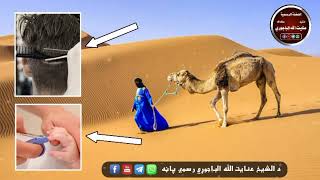 که څوک قرباني كوي نو نوكان او ويختان به نه كټ كوي لس ورځې مخکي!🎙️ فضيلة الشيخ عنايت الله الباجوړي