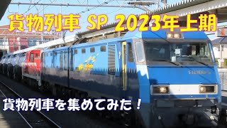 【貨物列車通過集】2023年上期　これまでに撮影した貨物列車29本が通過！　EF65、EF210、EH200、EH500、DD200無動力回送、DE10、GV-E197、EF66