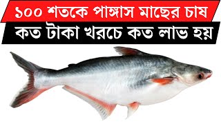 ১০০ শতকে পাঙ্গাস মাছের চাষ || আয় ব্যয়ের হিসাব || কত টাকা খরচে কত লাভ হয় || Pangash farming in pond