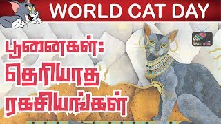 Unknown facts about cats | பூனைகள் பற்றி அறியாத தகவல்கள் | UyirmmaiTV