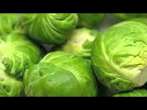 FRANK ZAPPA-"Call Any Vegetable" LYRICS