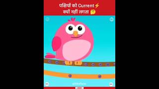 Why Bird S Dont Get Electric Shock