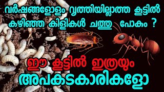 ക്രൂരനാണ് 😡 ഇങ്ങനയൊക്കെ ചെയ്യാമോ ?വർഷങ്ങളായി വൃത്തിയാക്കാത്ത കൂട് വൃത്തിയാക്കിയപ്പോൾ #experiment