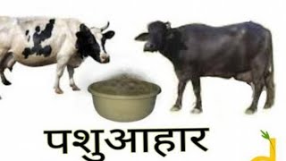 दुधाळ जनावरांना द्या सकस आहार/ पशुखाद्य बनवा घरच्याघरी/Feeding of dairy cattle and buffaloes