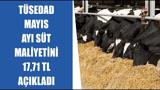 #CANLI TÜSEDAD Mayıs Ayı Süt Maliyetini 17,71 TL Açıkladı | Prof. Dr. Armağan Hayırlı