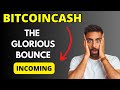 BITCOINCASH BCH News Today, Technical Analysis and Price Prediction 2023/2024